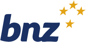bnz financing options for solar panels for homeowners
